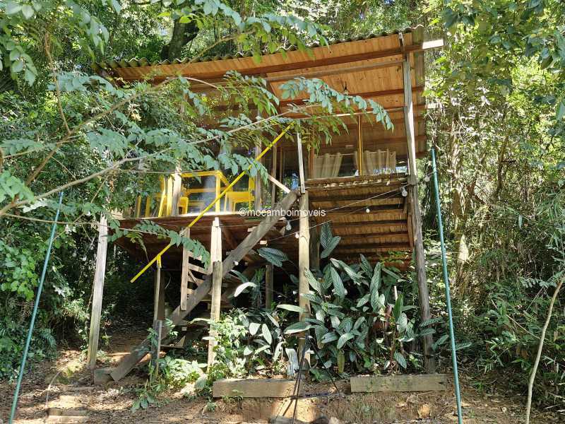 Casa Arvore - 3