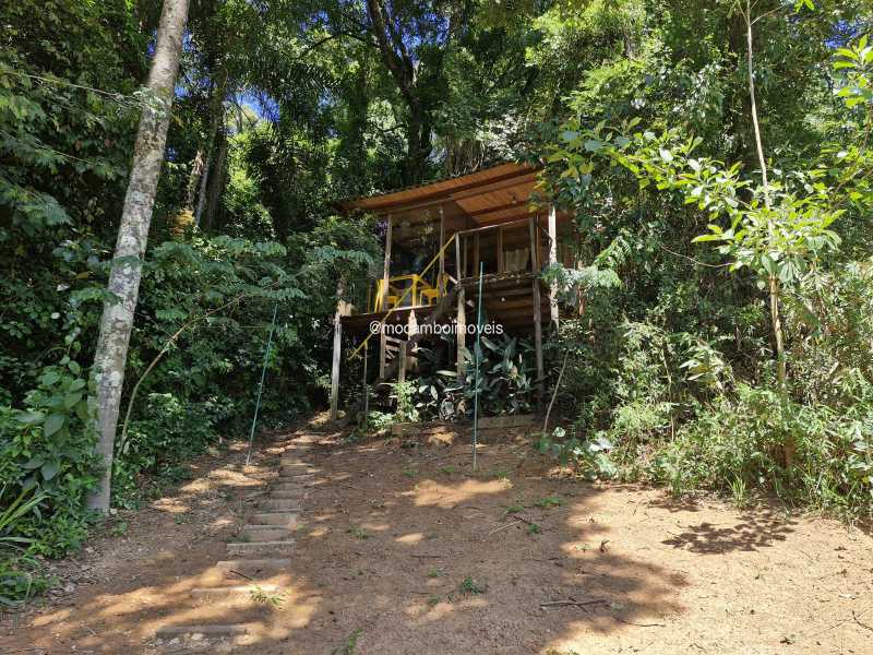 Casa de Vidro - 5
