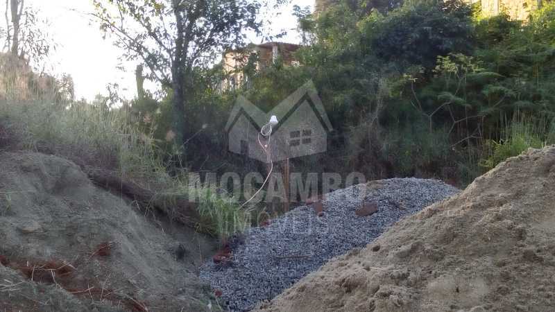 IMG-20250219-WA0020 - 8