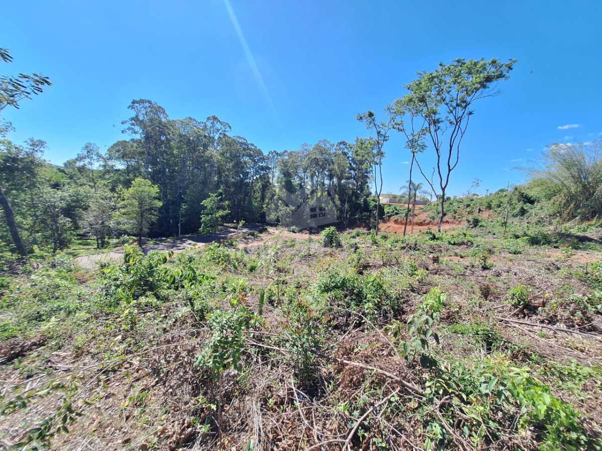 6edec217-bc66-4a36-910b-177db4 - 3