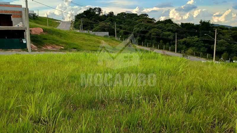 IMG_20250318_162922514_HDR - 3