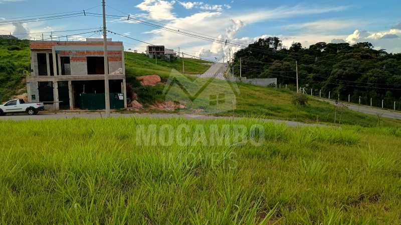 IMG_20250318_162935508_HDR - 4