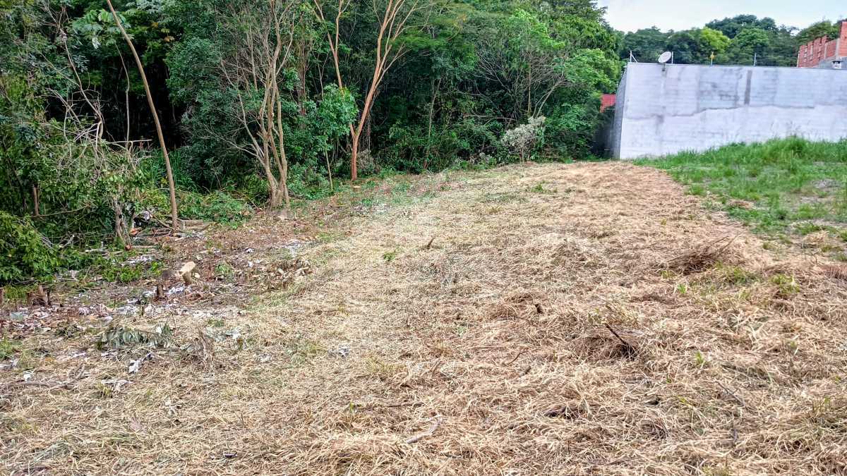 IMG_20251203_165307841_HDR~2 - 3