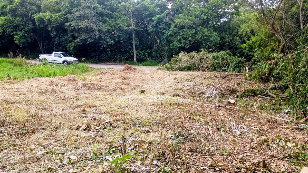 IMG_20251203_165446080~2 - 4