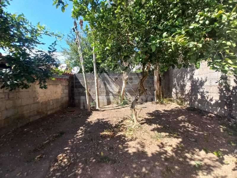 quintal - 26