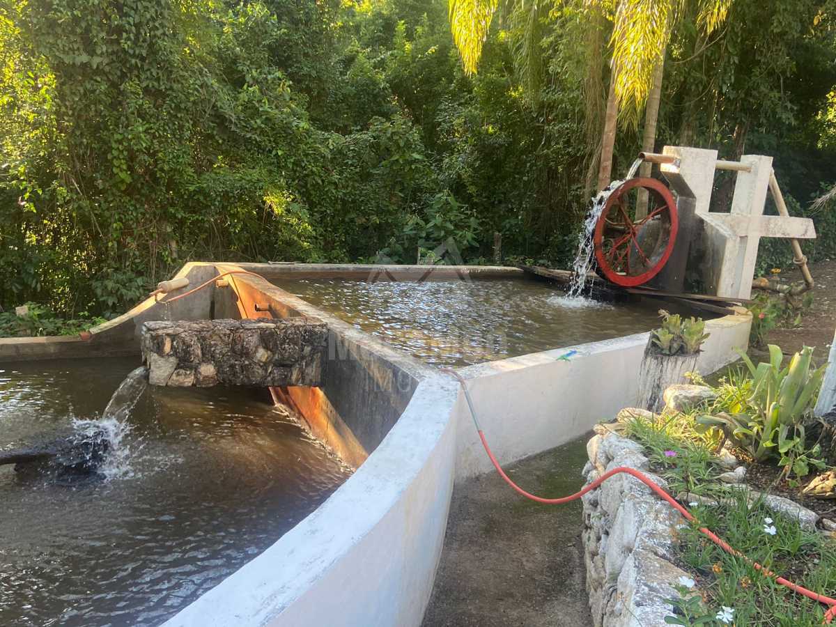 Imagem do WhatsApp de 2025-11- - 15