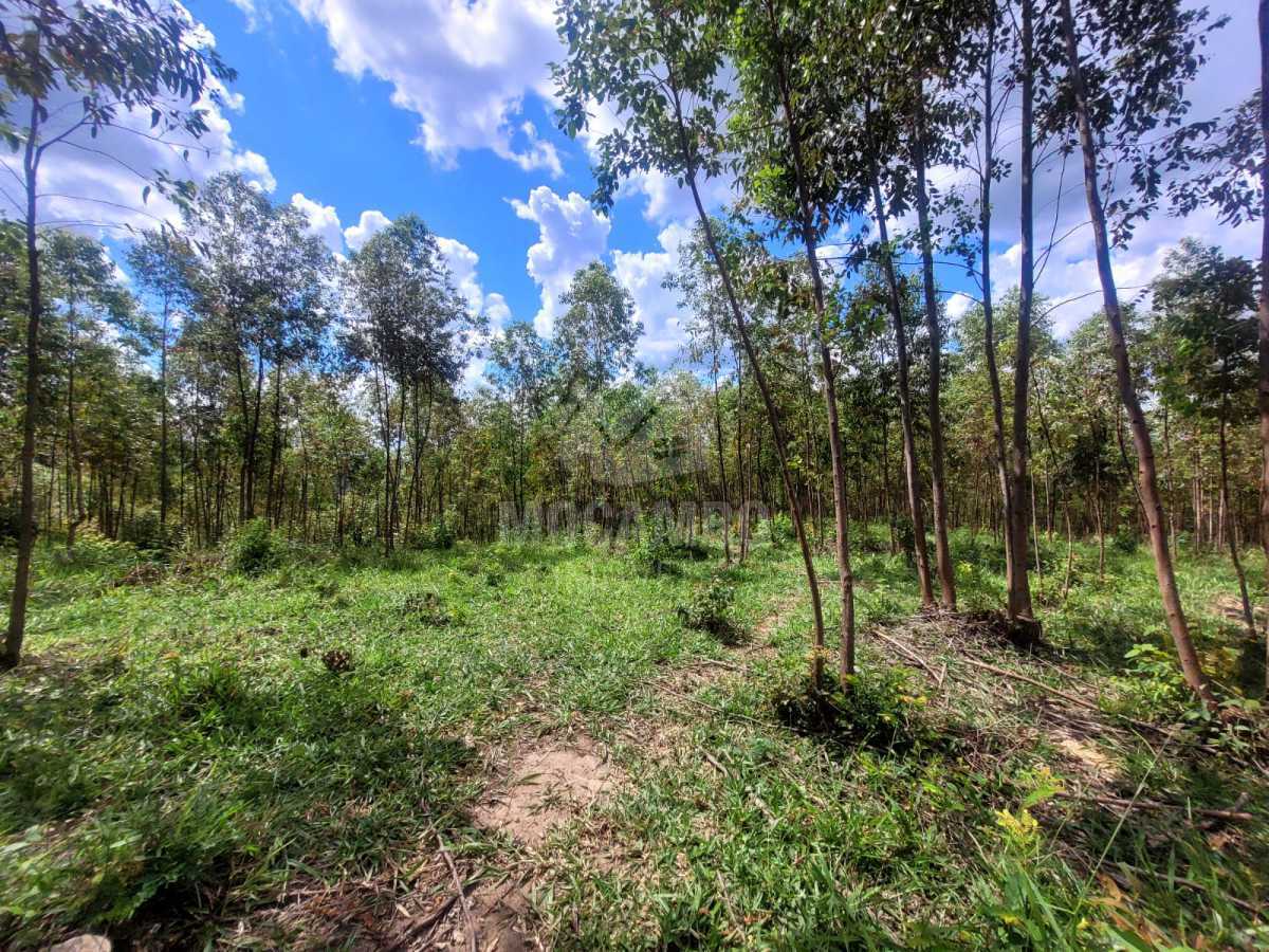 3e0c8b36-fab3-4883-86c8-958012 - 14