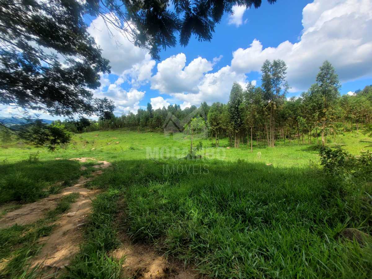 5785c132-7835-47c9-8493-45e646 - 13