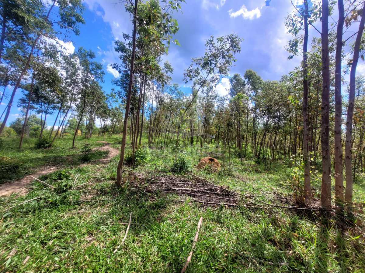 82708ef5-bf04-41ea-8be5-0bff58 - 21