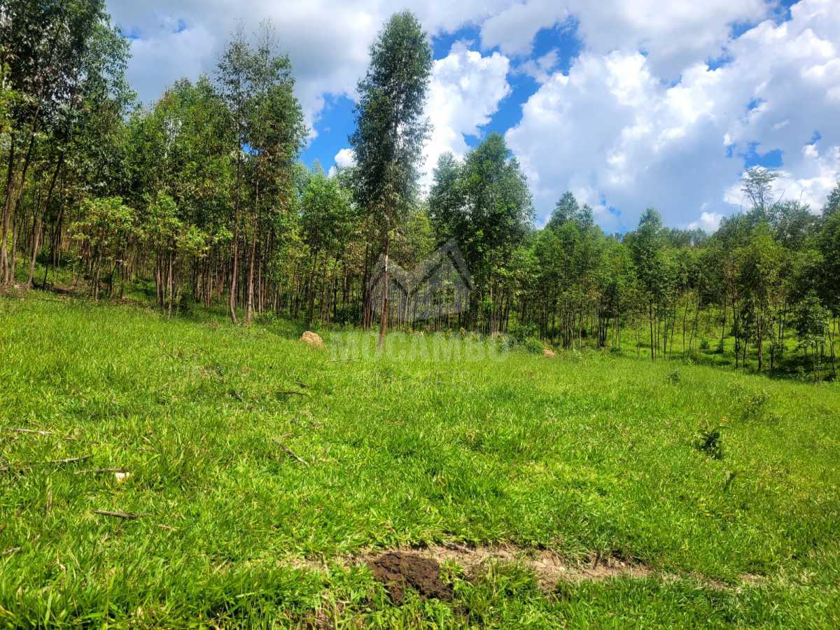 3315241e-7c5b-4419-9de2-e62ad9 - 10