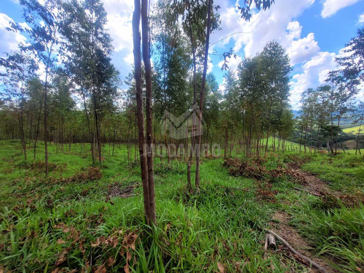 af847813-a0cb-4944-906a-5904c0 - 22