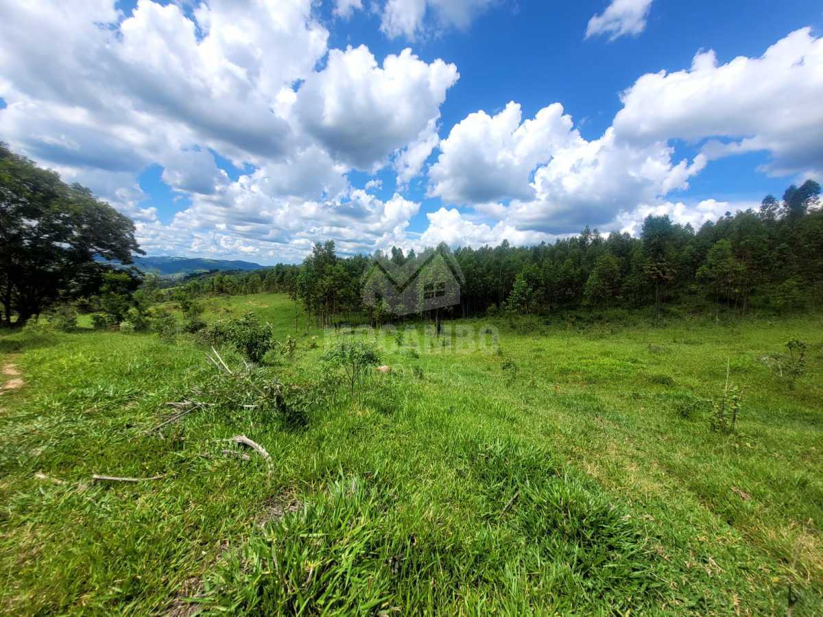 c26fa09d-9d3e-40de-8b44-937267 - 24