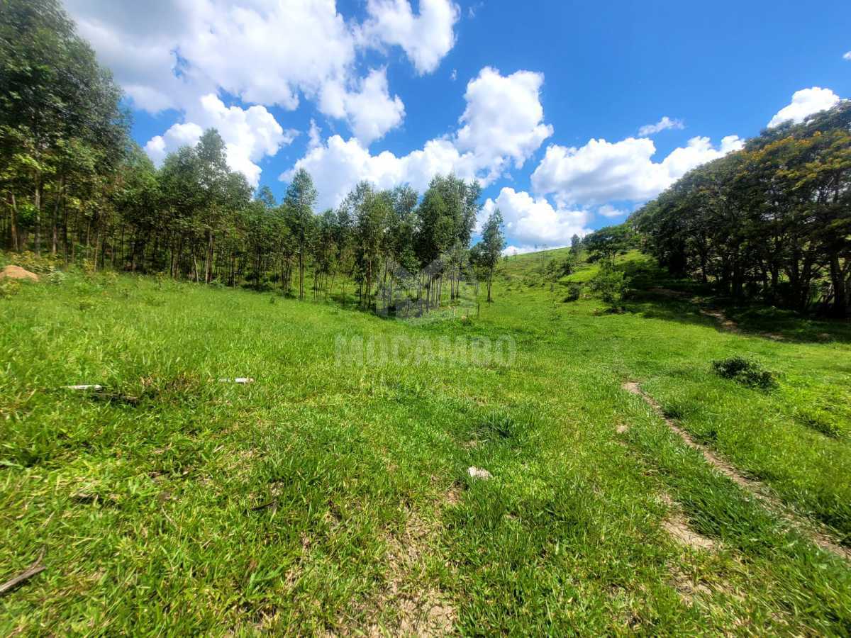 d33a9ed3-d6ba-4a8c-b084-9ff27c - 25