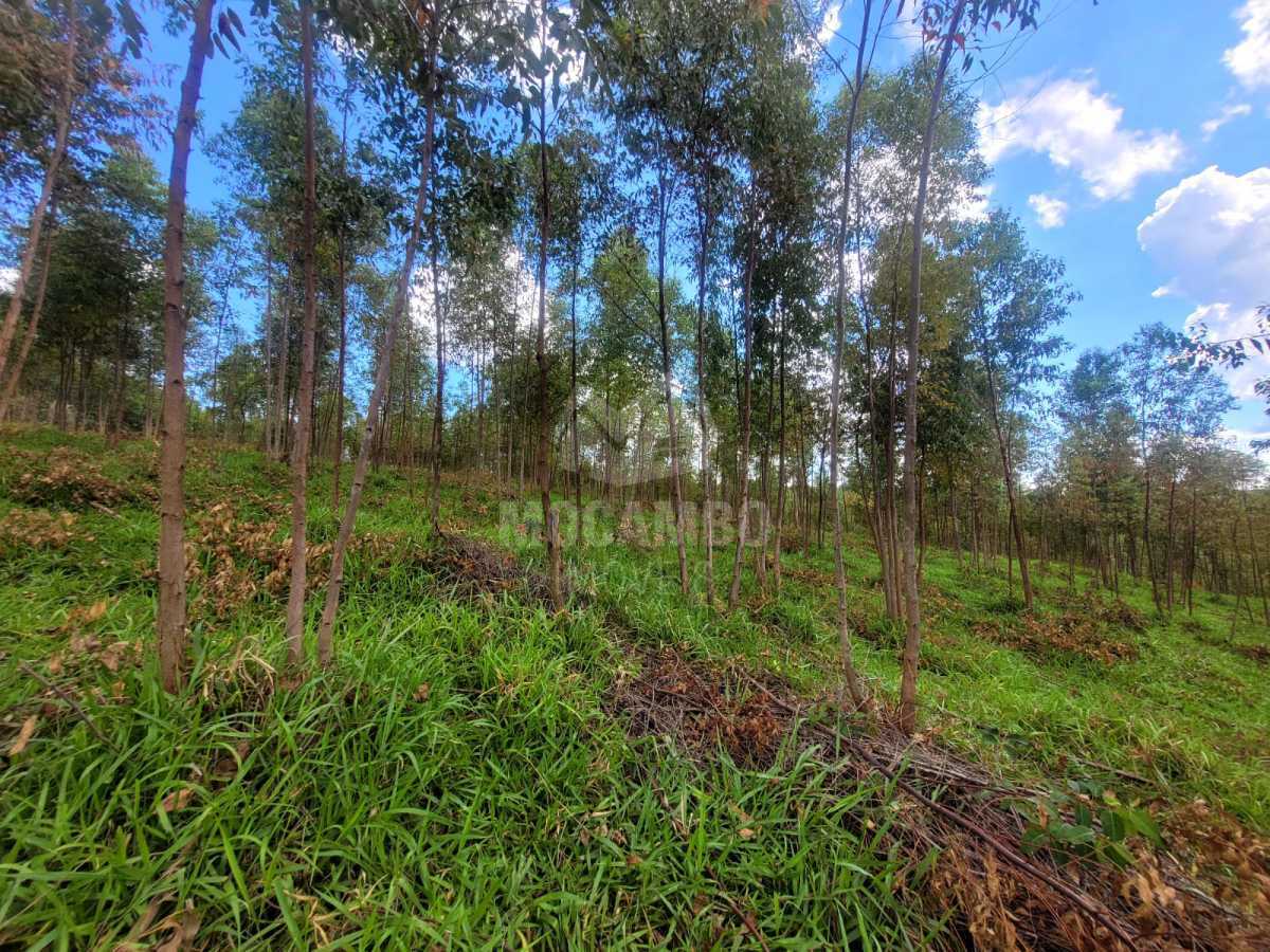 d5833ec0-0d2b-4f73-89bf-33d453 - 27