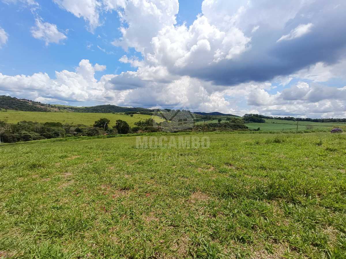 Fundo do Terreno - 4