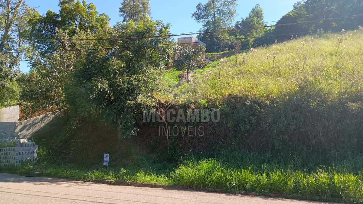 IMG_20260316_091924938 - 2