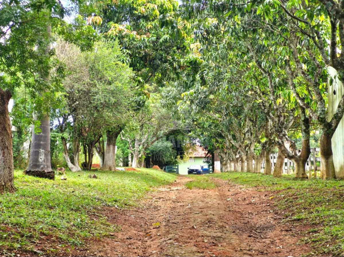 Entrada - 1