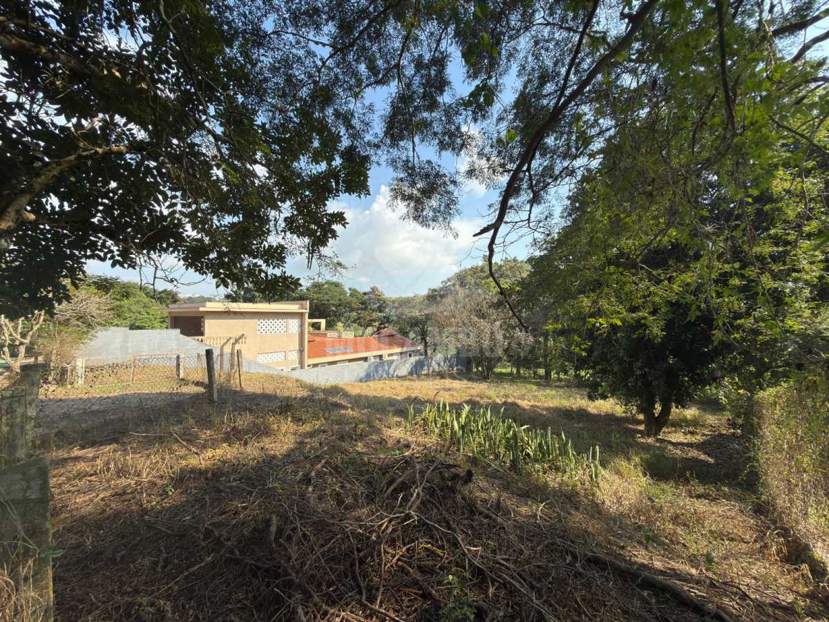 Terreno - 1