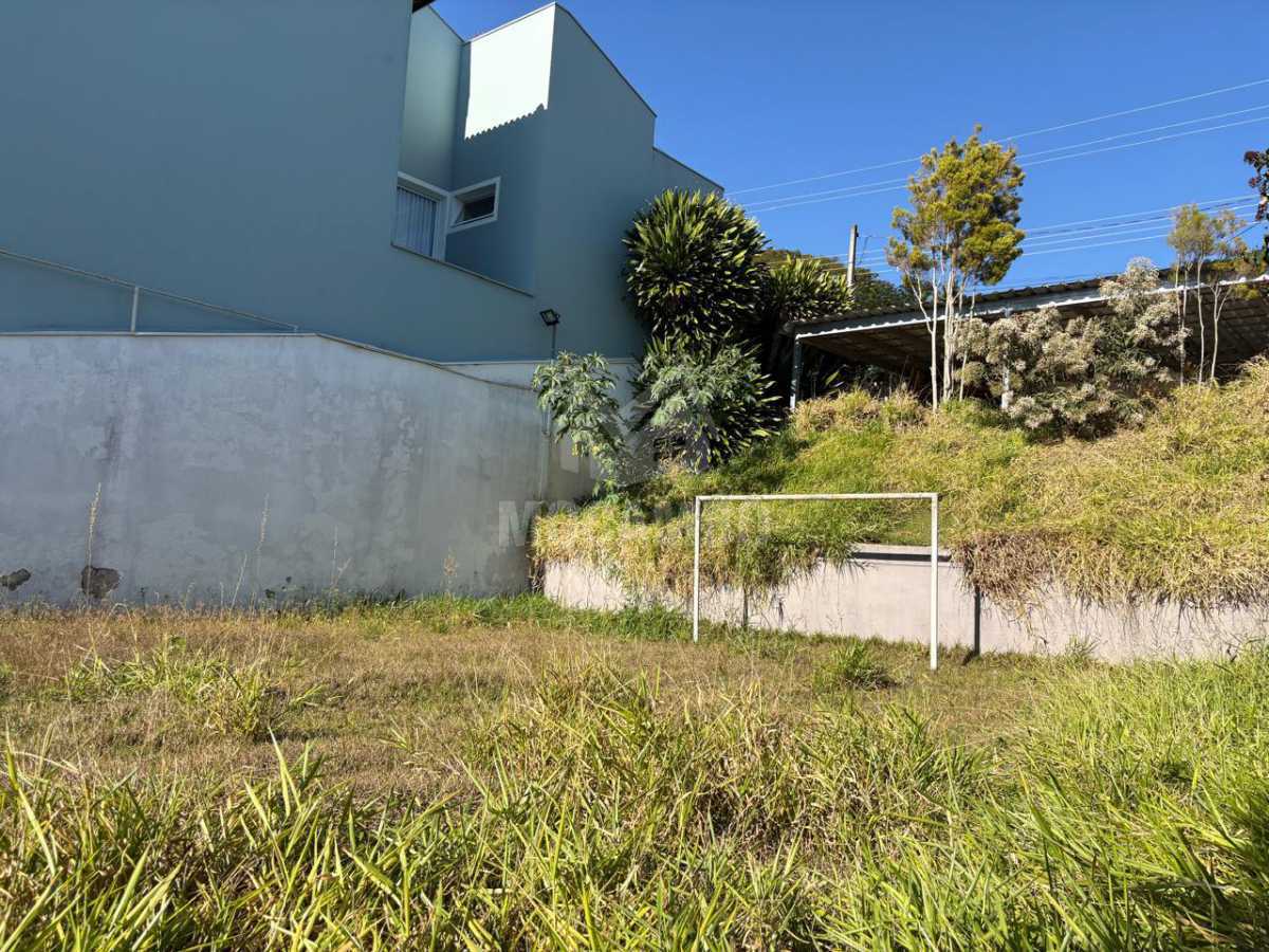 Campo - 6