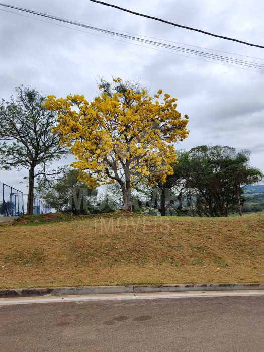 Terreno - 1