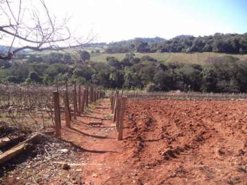 Sítio 91000m² à venda Itatiba,SP Bairro Tapera Grande - R$ 13.650.000 - FCSI00007