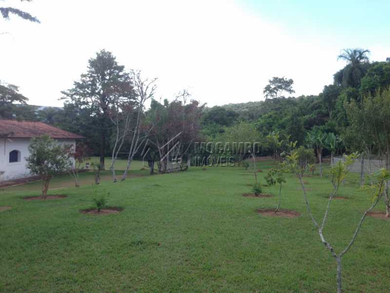 Pomar - 19