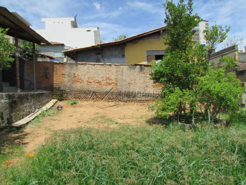Quintal - 11