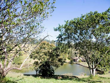 Lago - 4
