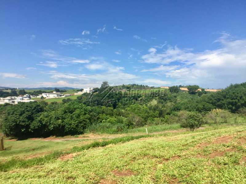 Terreno - 4