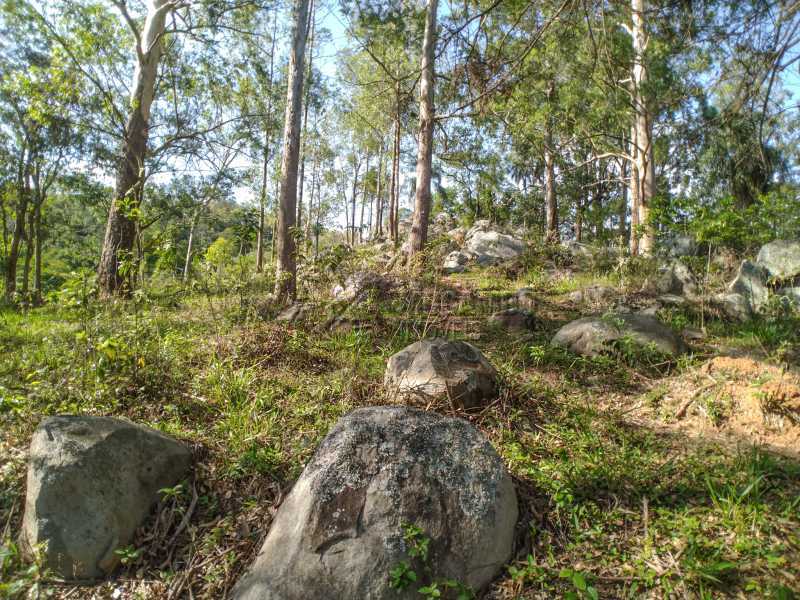 Pedreira - 8
