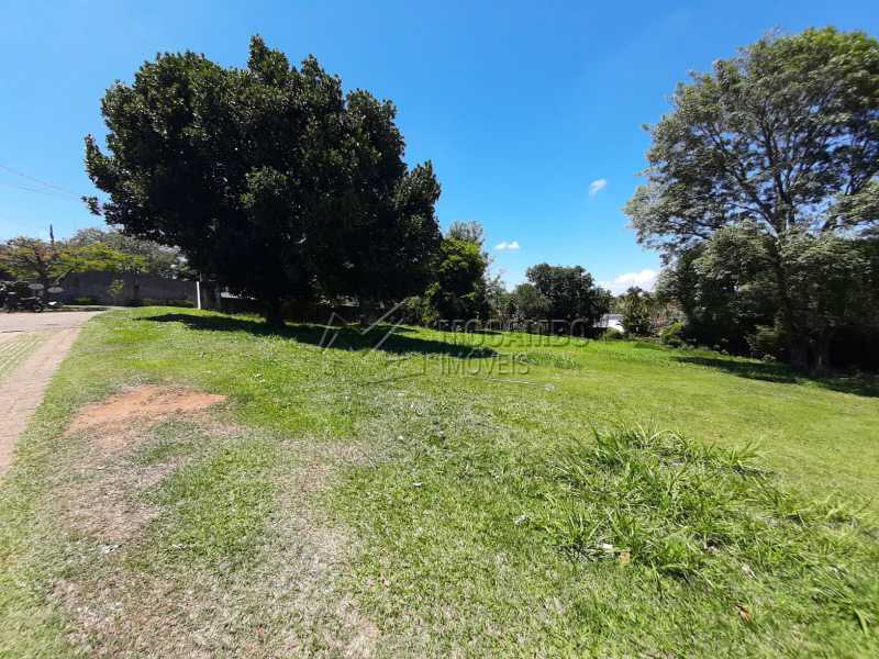 Terreno - 3