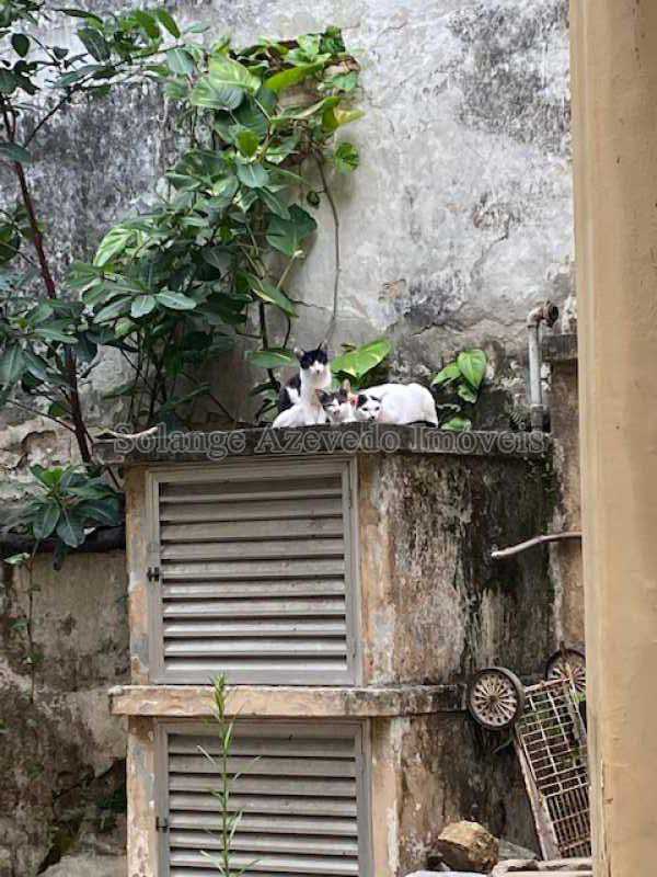 Conheça IMG_0668 do imóvel - Casa à venda Rua Guaxupé, Tijuca, Rio de Janeiro - R$ 1.400.000 - TJCA50007 - 12 IMG_0668 - 12