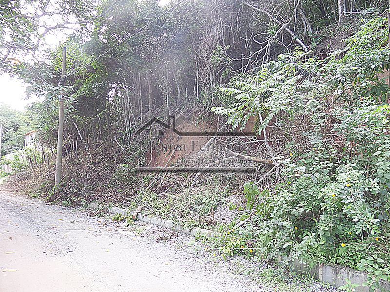 FOTO 5 - 5