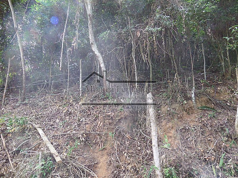 FOTO 8 - 8