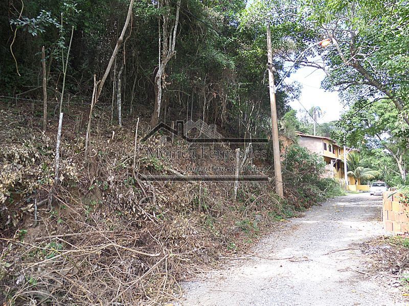 FOTO 10 - 10