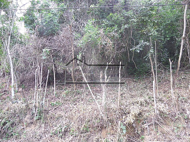 FOTO 13 - 13