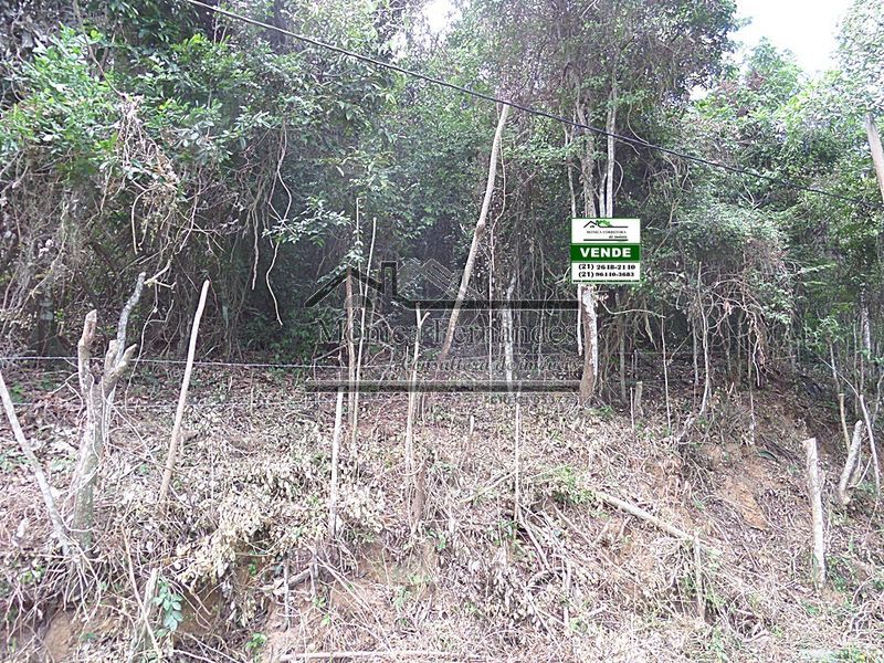 FOTO 12 - 12