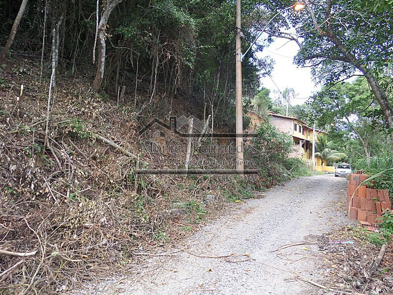 FOTO 14 - 14