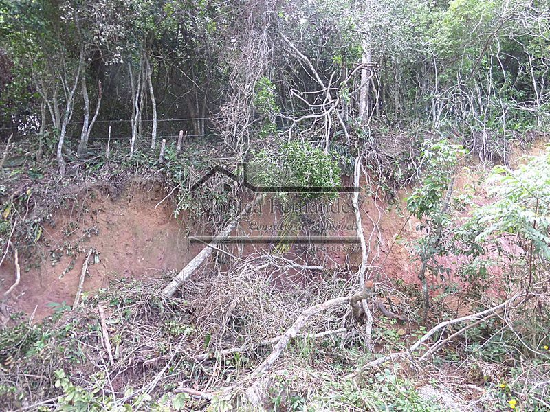 FOTO 15 - 15