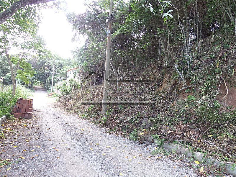 FOTO 17 - 17