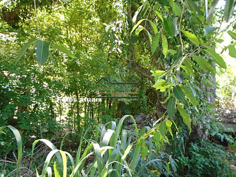 DSC00652 - 22