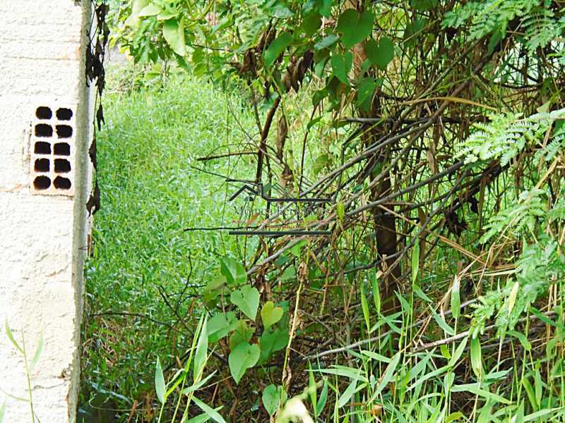 Conheça DSC01272 do imóvel - Terreno Residencial à venda Balneário Bambuí (Ponta Negra), Maricá - R$ 60.000 - T107 - 5 DSC01272 - 5