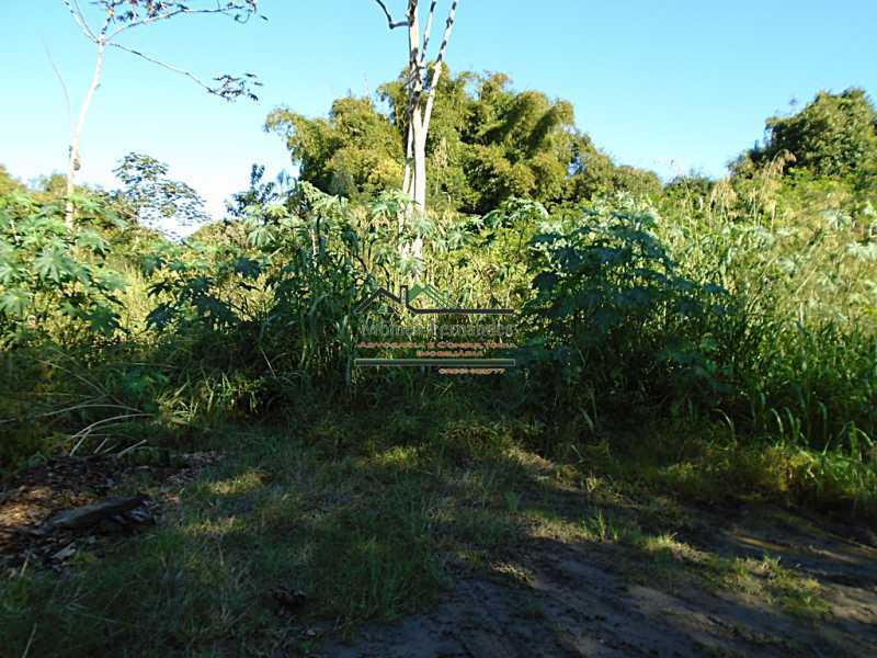 DSC03593 - 6