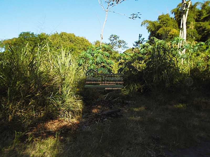 DSC03594 - 7