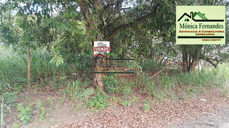 IMG-20260206-WA0026 - 1