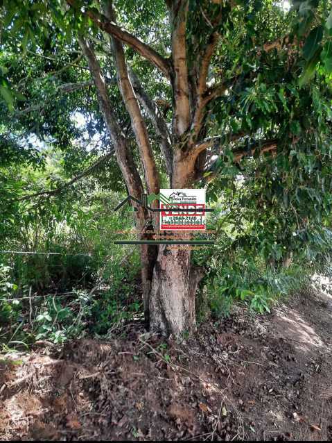 Terrenona PontePreta_Rua115_Sr - 4