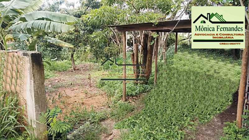 IMG-20260206-WA0012 - 1