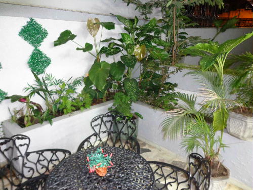 Conheça FOTO33 do imóvel - Casa à venda Rua Jorge Rudge,Vila Isabel, Rio de Janeiro - R$ 850.000 - CR40039 - 31 FOTO33 - 31