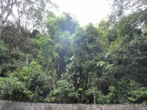 Conheça FOTO1 do imóvel - Terreno Multifamiliar à venda Estrada da Gávea Pequena,Alto da Boa Vista, Rio de Janeiro - R$ 1.700.000 - CT10002 - 1 FOTO1 - 1