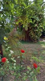 Apartamento 3 quartos à venda Rio de Janeiro,RJ Santa Teresa - R$ 420.000 - CTAP30238